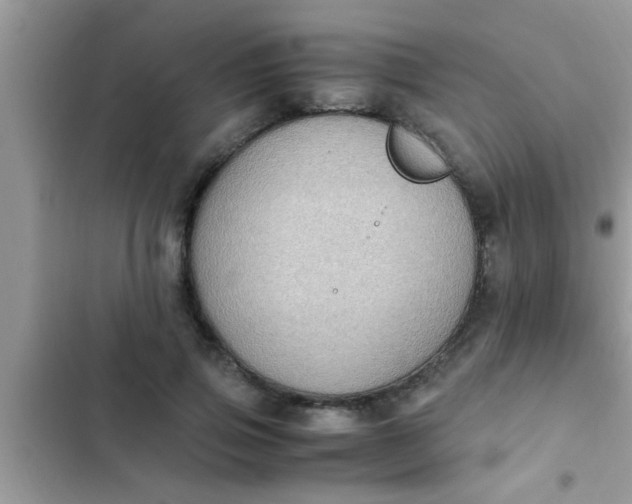 X0000102390741200808151920