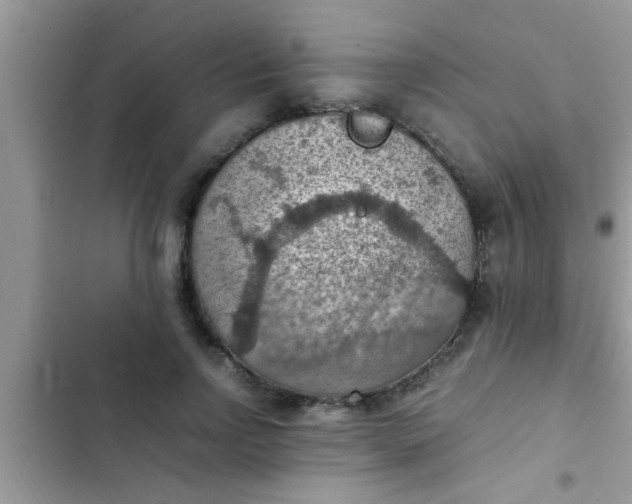 X0000102390742200808151920