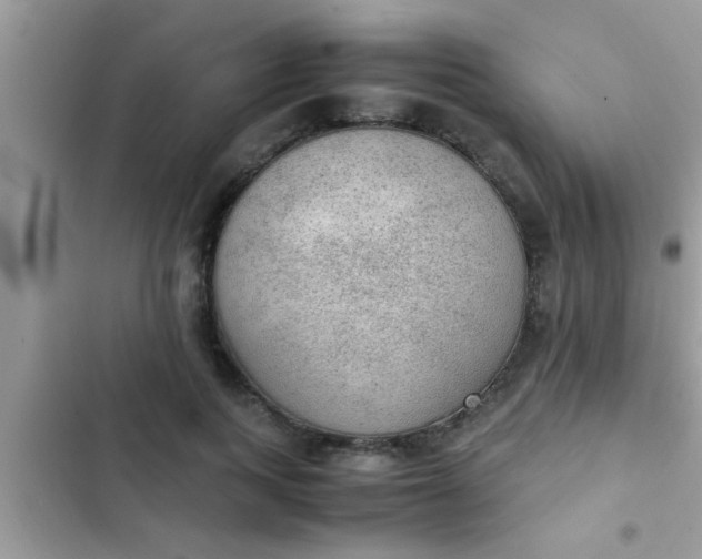 X0000102390743200808151920