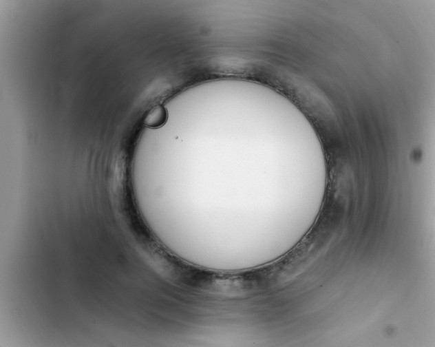 X0000102390744200808151920