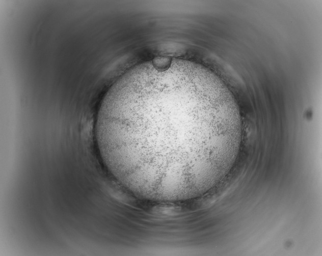 X0000102390745200808151920