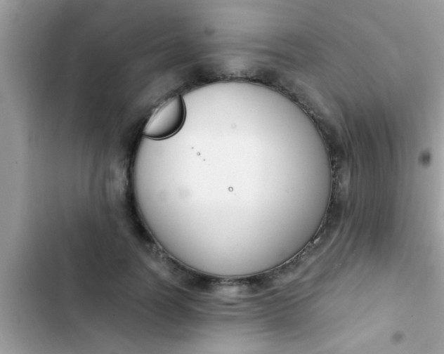 X0000102390746200808151920