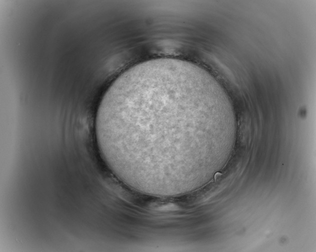 X0000102390747200808151920