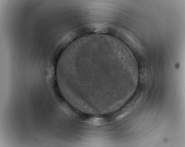 X0000102390748200808151920