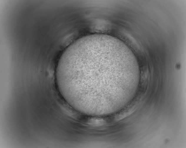 X0000102390749200808151920