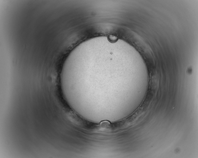 X0000102390750200808151920