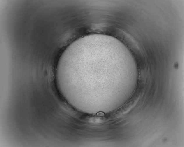 X0000102390751200808151920