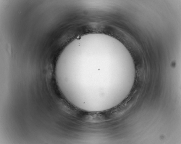 X0000102390752200808151920