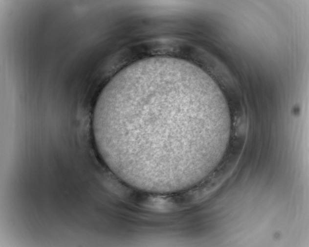 X0000102390753200808151920