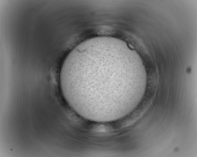 X0000102390755200808151920