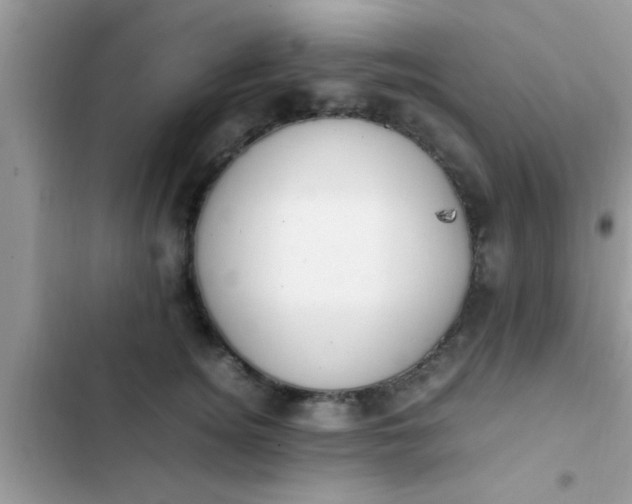 X0000102390756200808151920