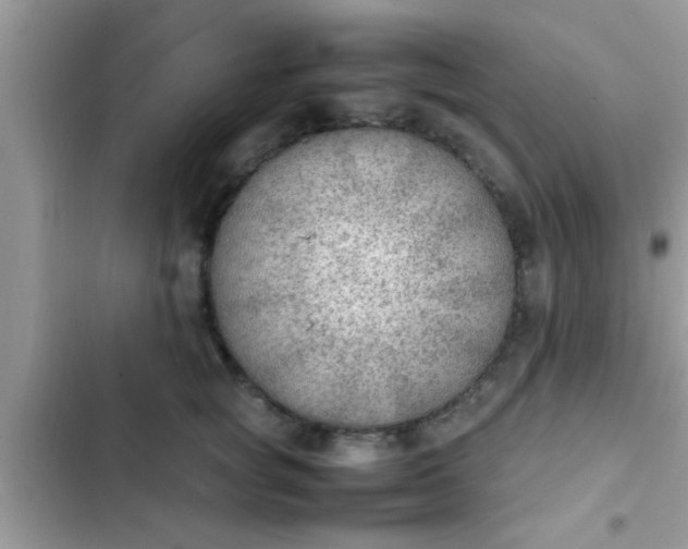 X0000102390757200808151920