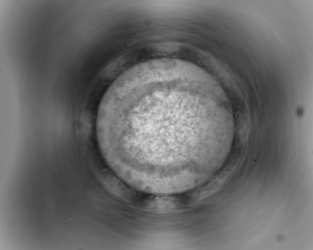 X0000102390758200808151920