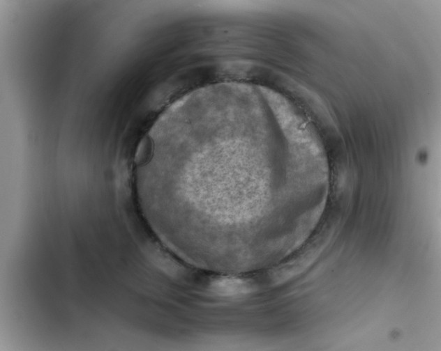 X0000102390759200808151920