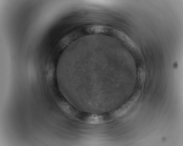 X0000102390760200808151920