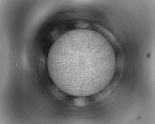 X0000102390761200808151920