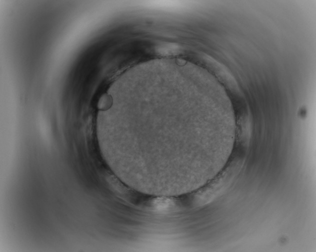 X0000102390762200808151921