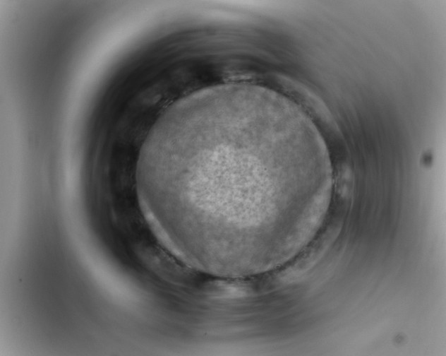 X0000102390763200808151921