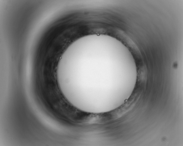 X0000102390764200808151921