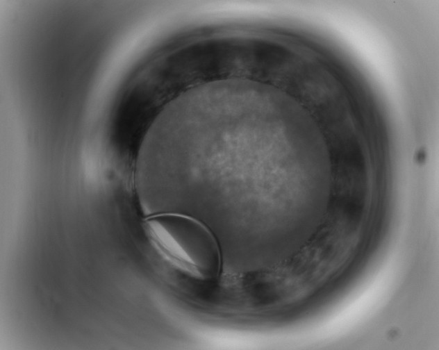 X0000102390766200808151921