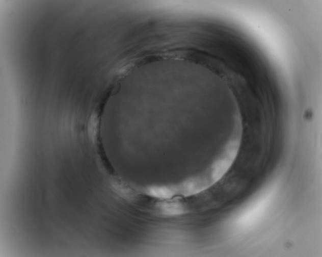 X0000102390767200808151921