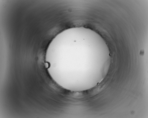 X0000102390768200808151921