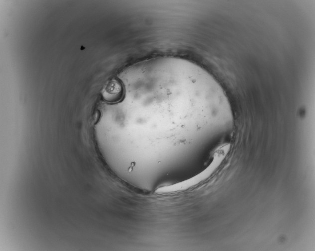 X0000102390769200808151920