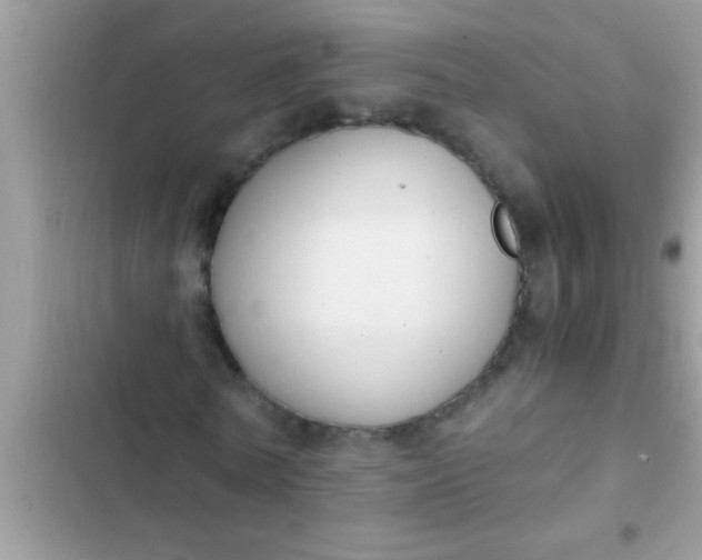 X0000102390770200808151920