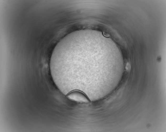 X0000102390771200808151920