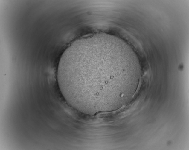 X0000102390772200808151920