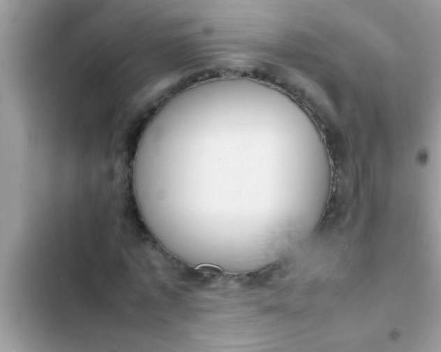 X0000102390773200808151920