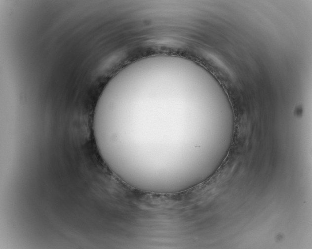 X0000102390774200808151920