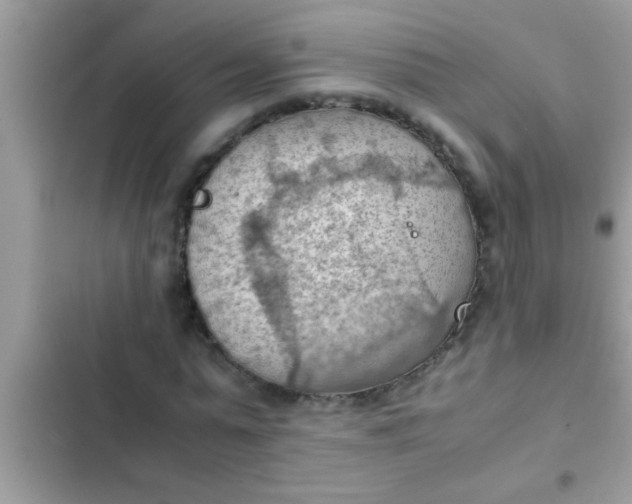 X0000102390775200808151920