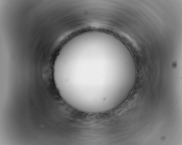 X0000102390776200808151920