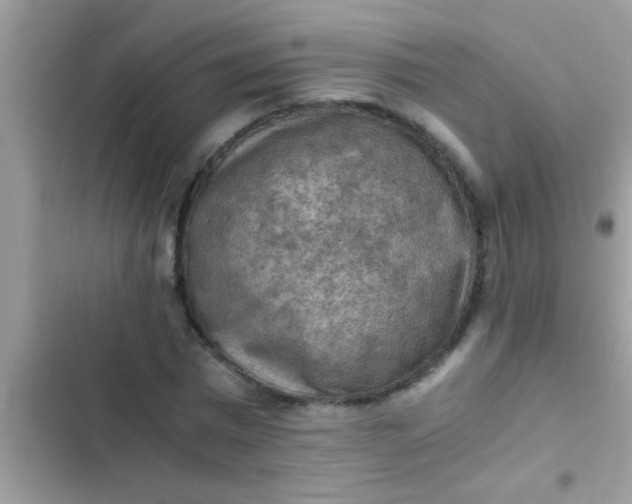 X0000102390777200808151920