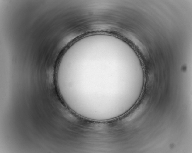 X0000102390778200808151920