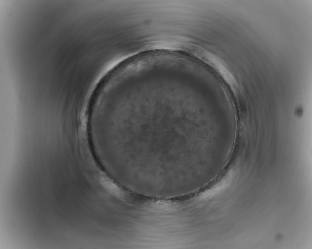 X0000102390779200808151920