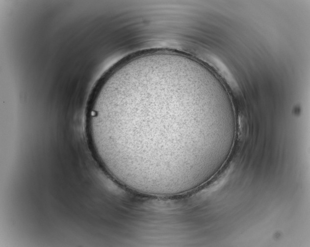 X0000102390780200808151920