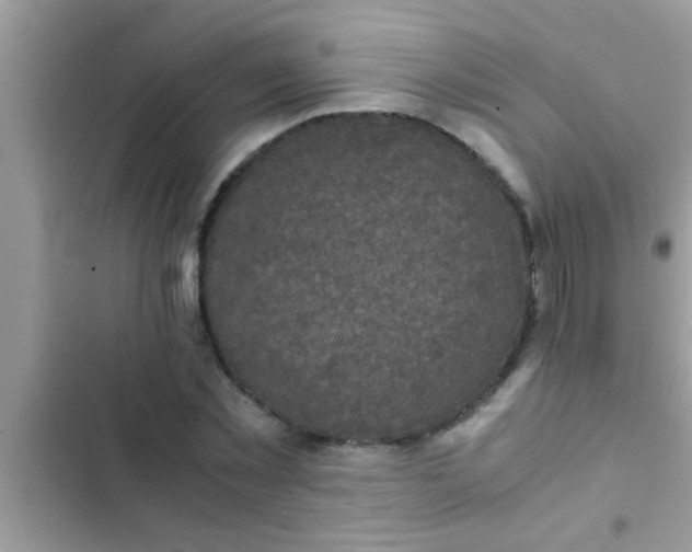 X0000102390781200808151920