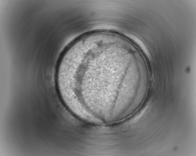 X0000102390783200808151920