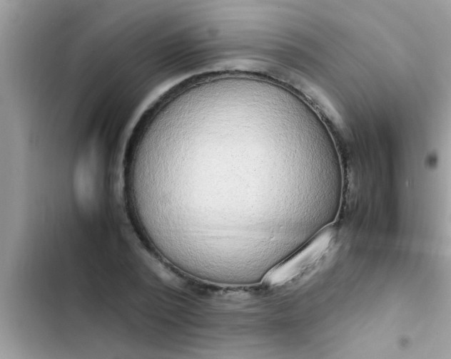 X0000102390784200808151920