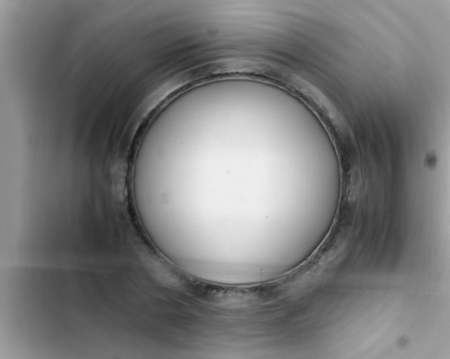 X0000102390786200808151920