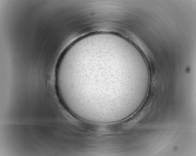 X0000102390787200808151920