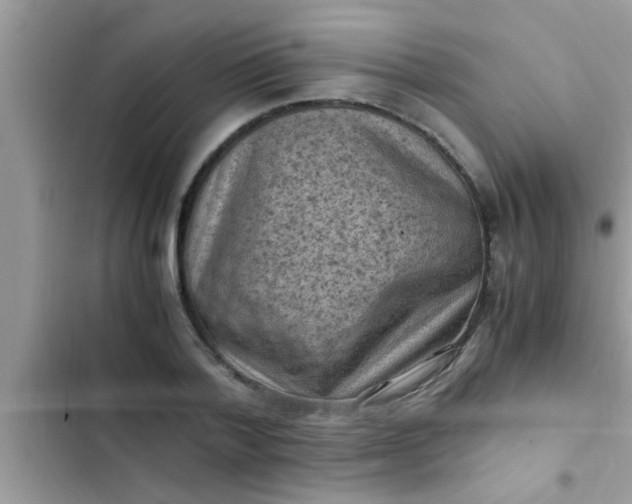 X0000102390788200808151920