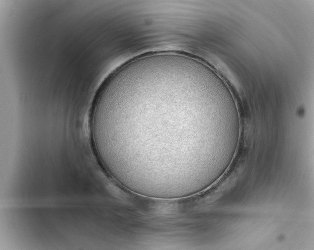 X0000102390789200808151920