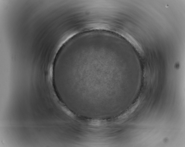 X0000102390790200808151920