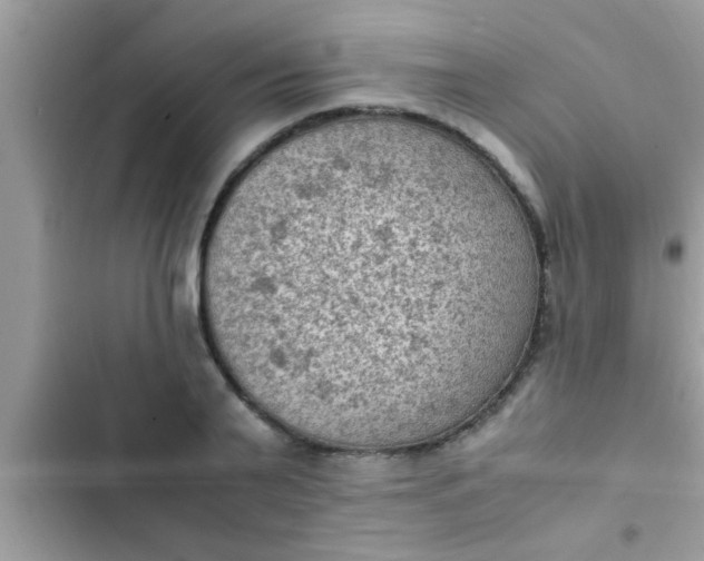 X0000102390791200808151920