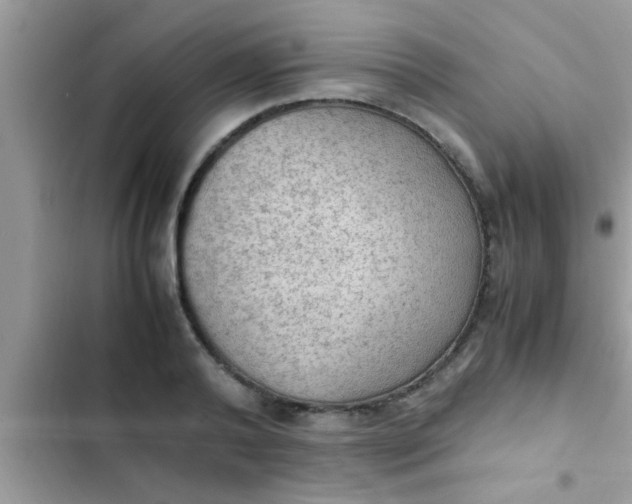 X0000102390792200808151920