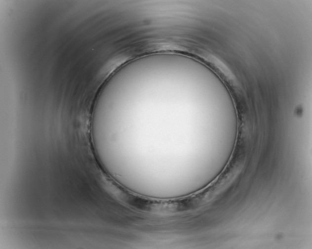 X0000102390793200808151920