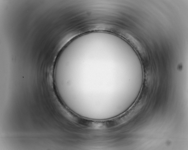 X0000102390794200808151920